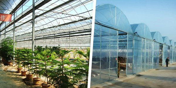 金鄉(xiāng)縣高創(chuàng)農業(yè)科技有限公司